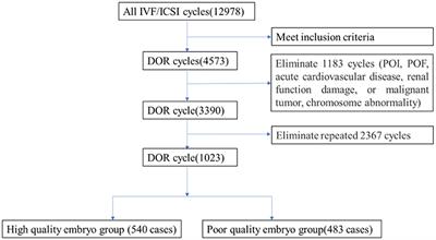 Homocysteine Level Related to Age Is Associated With Embryo Quality in Women Who Had IVF With Diminished Ovarian Reserve